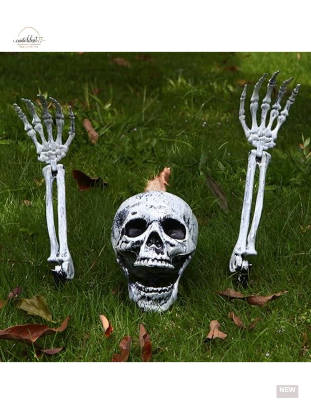 Halloween Skeleton Arms and Skull Yard Stakes with Spider Web Outdoor Decor